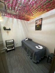 Outram Loft (D3), Shop House #489621621